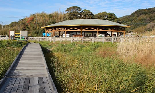 黒崎永田湿地自然公園