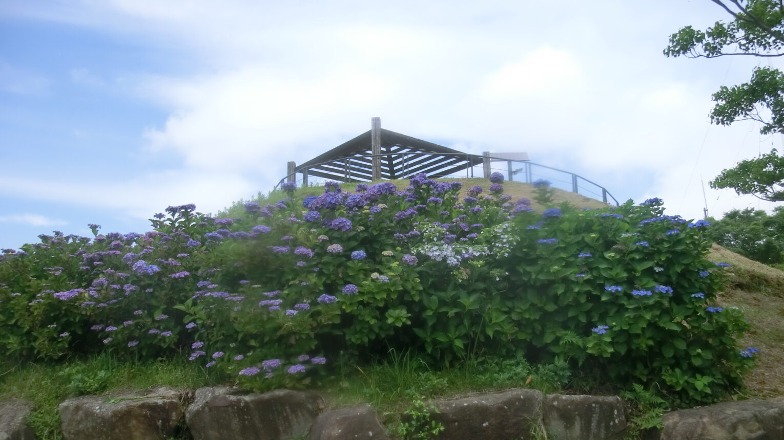 公園のメイン写真