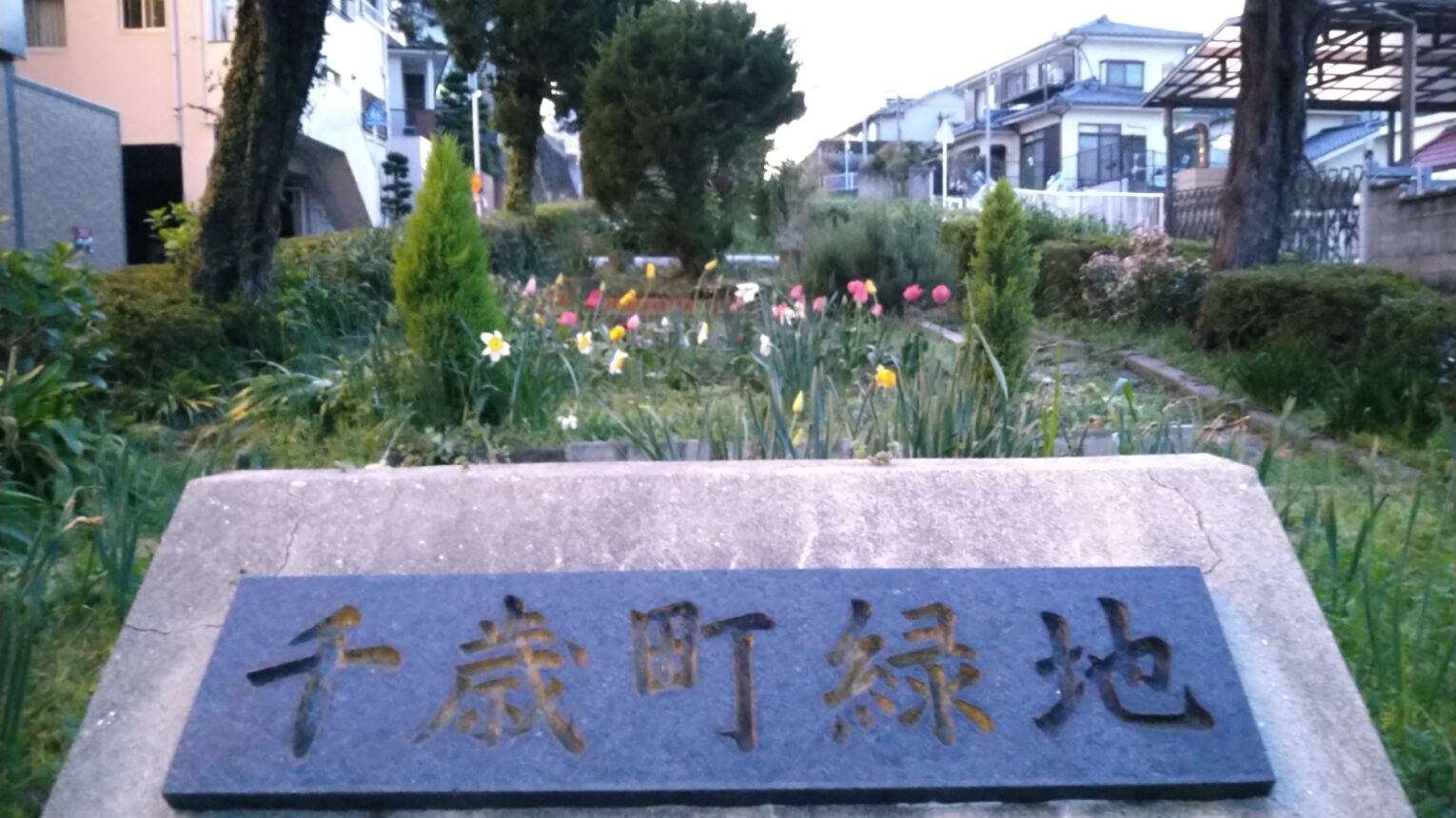 公園のメイン写真