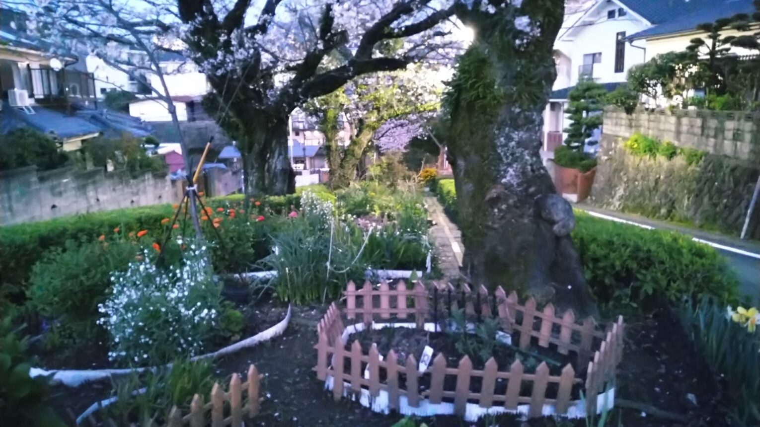 公園のメイン写真