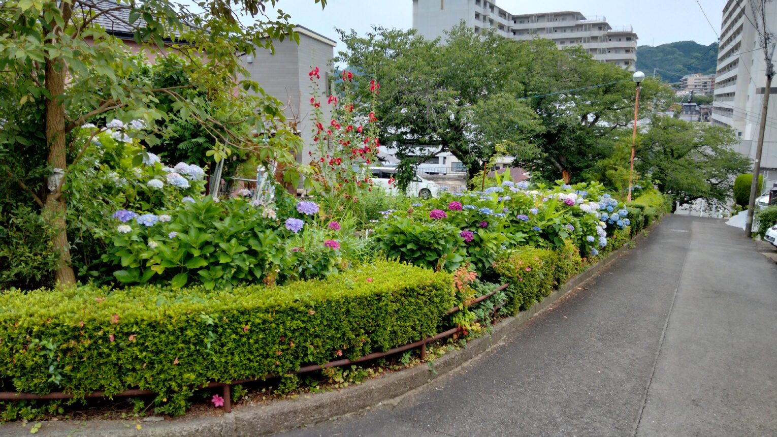 公園のメイン写真