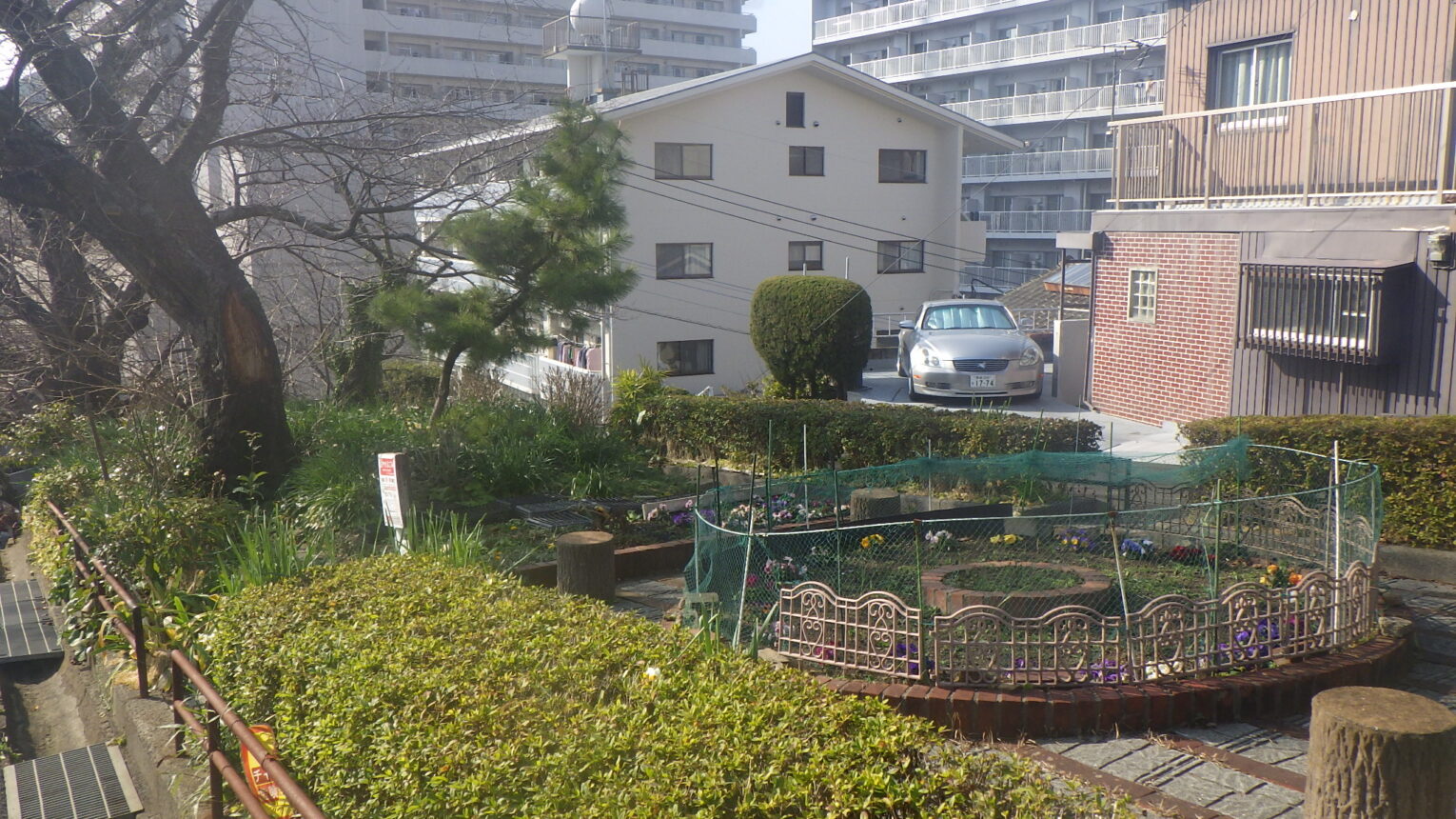 公園のメイン写真