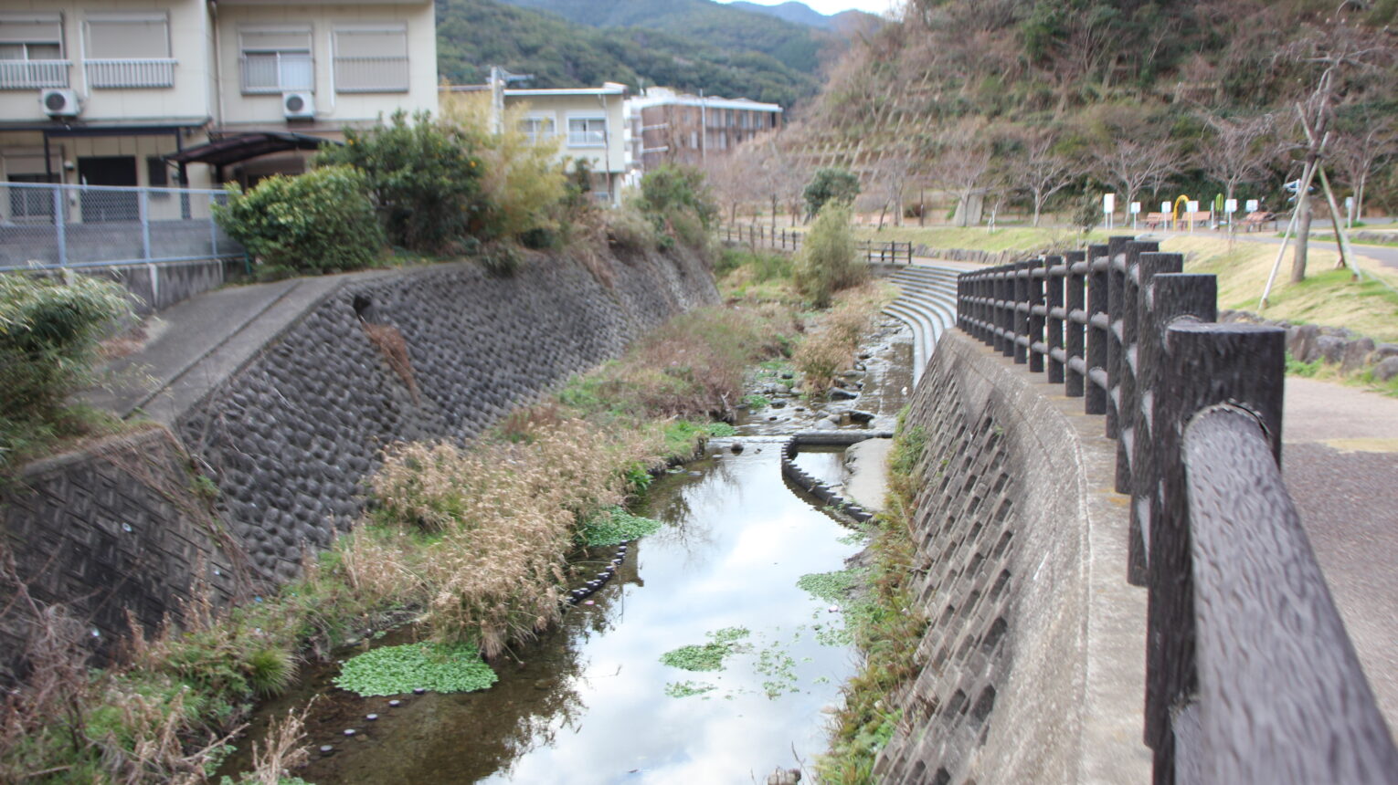 公園のメイン写真
