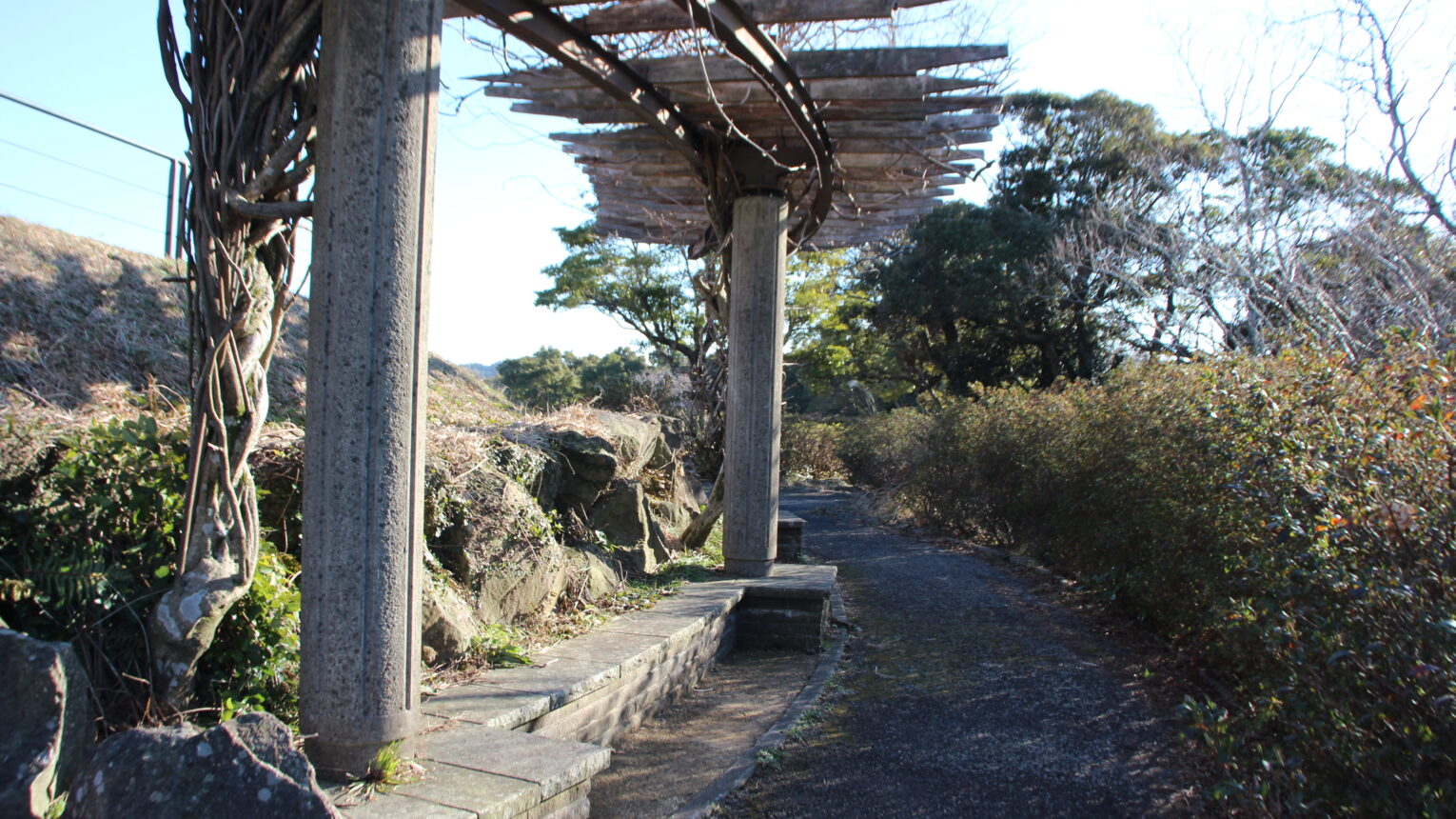 公園のメイン写真