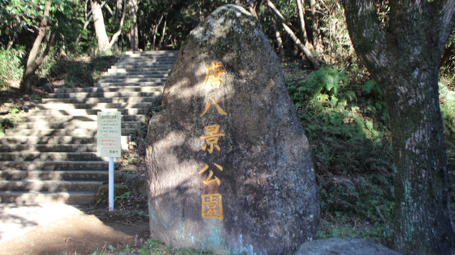 公園のメイン写真